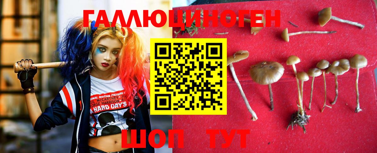 Галлюциногенные грибы ЛСД  Псилоцибиновые грибы мицелий  Вход с VPN  Верхняя Пышма 